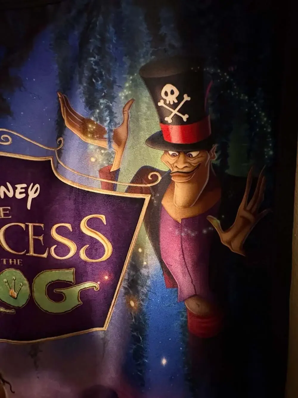 Rare, Impeccable and Soft Disney The Princess and the Frog Plush Throw Blanket